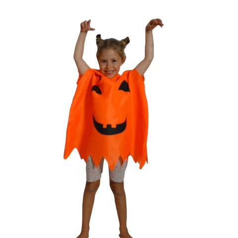 Disfraz Poncho Calabaza con Capucha - comprar online
