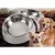 Comedouro Bebedouro Inox - comprar online