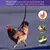 Plumas com Estilo – Arnês Fashion e Confortável para Aves Exóticas - La Maison Pet