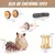 Kit Diversão Natural - loja online