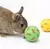 Bola Interativa de Petiscos para Coelhos e porquinho da índia - La Maison Pet