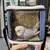 Bolsa Gaiola Portátil para Pássaros e Pequenos Animais na internet