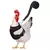 Plumas com Estilo – Arnês Fashion e Confortável para Aves Exóticas - comprar online