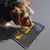 LambeLambe Pet - comprar online