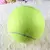 Mega Bola de Tênis Pet Joy