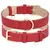 Passeio Chic - comprar online