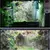 RainForest Pro – Umidificador de Répteis - La Maison Pet