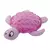 Brinquedo Interativo Tartaruguinha - comprar online