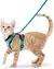Liberdade com Segurança - coleira para gatos - loja online