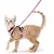 Liberdade com Segurança - coleira para gatos - comprar online
