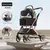 Carrinho Pet Lux - comprar online