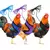 Plumas com Estilo – Arnês Fashion e Confortável para Aves Exóticas