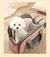Bolsa Pet Travel Pro