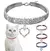 Imagem do Glamour Pet