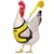 Plumas com Estilo – Arnês Fashion e Confortável para Aves Exóticas na internet