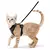 Imagem do Liberdade com Segurança - coleira para gatos