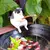 Mini Gato Pescador - loja online