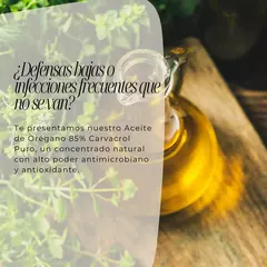 PROMO 2x1 OregaPure™ – Salud Digestiva y Muscular al Instante (15 ml) - Vellisse