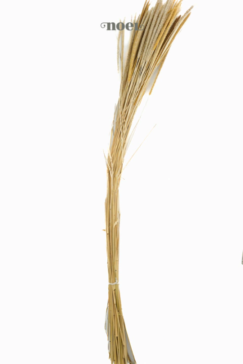 buquê permamente realsita de galhos capim dos pampas- 80cm