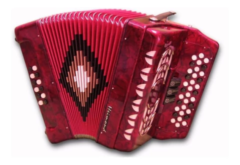 Acordeon 12 Bajos 34 Botones + Estuche HEIMOND YJB3412 - comprar online