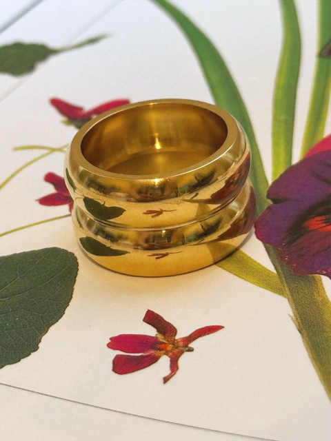 Anillo Iris
