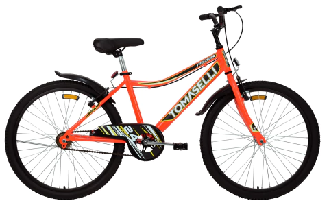 Bicicleta Rider R24 - comprar online