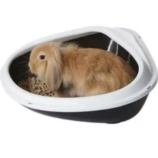 Litera Bandeja Sanitaria Baño Conejo Cobayo Roedores Xl