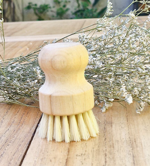 Cepillo de Cocina SIN mango - comprar online