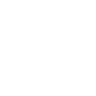 Alto Phone™