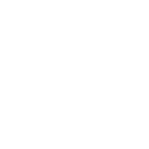 Alto Phone™