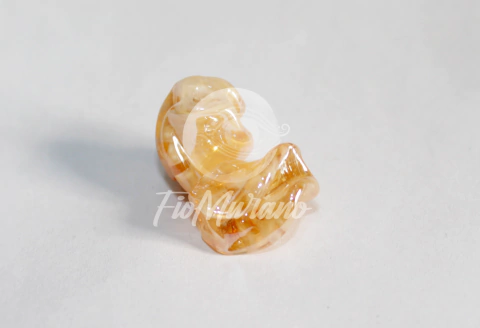 Torcida/ TAM ÚNICO - Branco Irizado