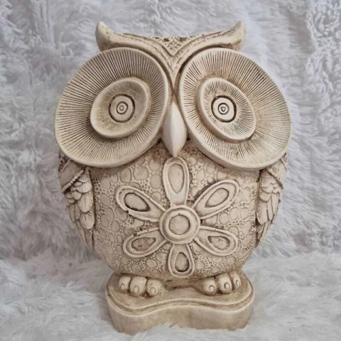 Lechuza de la protección.