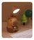 Imagen de Mini Lampara Led de Capybara