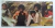 Lp Vinil (g+/vg The Jackson 5 Maybe Tomorrow 1a Ed Br 71 Gat - loja online
