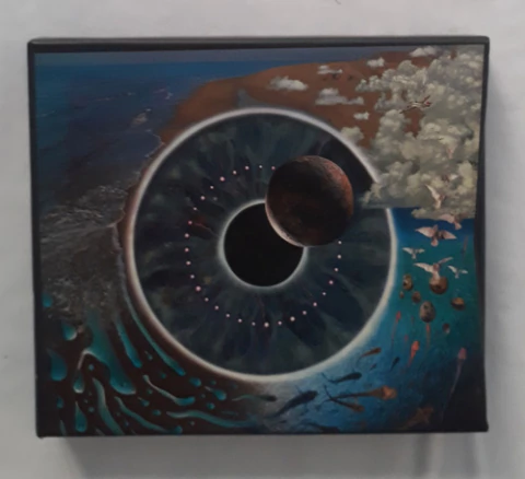 2x Cd (vg/+) Pink Floyd Pulse Ed Br 95 Sp Led Pisca C/book