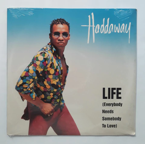 Lp Vinil (m) Haddaway Life (Everybody Needs Somebody To Love