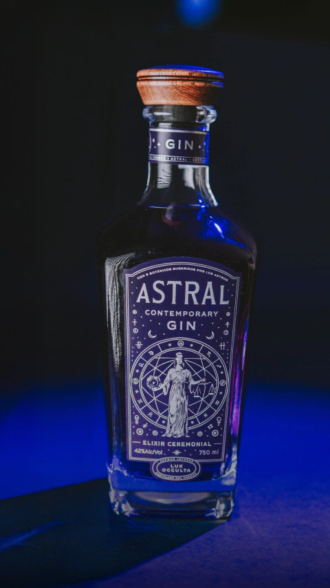 Gin Astral - 1 Botella