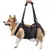 bolsa de transporte para pet - comprar online