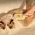 Petvap-3 em 1 escova para cães e gatos - escova elétrica para limpeza de animais - comprar online