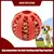 Bola de brinquedo para cães com rações para garantir a diversão do seu doguinho - Petzzy