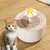 Fuente de agua 1 L carga USB automatica para Gatos y Perros pequeños en internet
