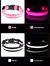Imagen de Collar para perro LED de seguridad nocturna intermitente que brilla en la oscuridad
