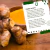 Açafrão Da Terra em Pó Puro 500g Raiz e Sabor - A Organica Alimentos