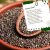 Semente de Chia Premium 500g Rico em Omega 3 e Fibras na internet