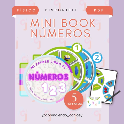 MINI BOOCK NÚMEROS