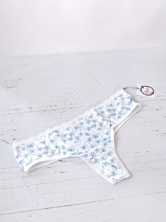 Culotte Less en internet