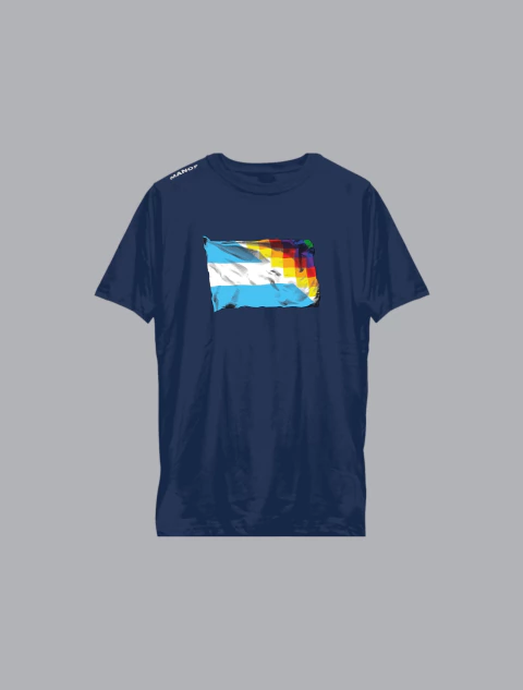 Remera Banderas - comprar online