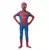 Imagem do Fantasia Infantil Homem Aranha