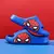 Chinelo Infantil Homem Aranha - Corre Cotia