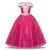 Fantasia Infantil Princesas